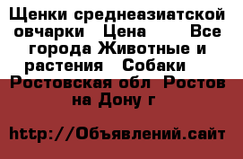 Щенки среднеазиатской овчарки › Цена ­ 1 - Все города Животные и растения » Собаки   . Ростовская обл.,Ростов-на-Дону г.